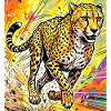 guépard