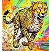 guépard