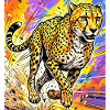 guépard