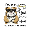 Bossy Bulldog Attitude in Shades