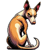 Podenco Podencos Podencoliebhaber Podencobesitzer