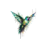 Wild Geometry - Kolibri