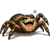 Lachende Spinne – Verspieltes Tiermotiv