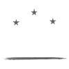 Coach Trainer