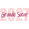 Bébé Grande Sœur 2027