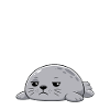 Resting seal-face, funny, grumpy,