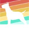 Bull terrier