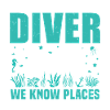 Always Be Nice to a Diver 
