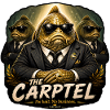 Karpfenfischen Der Karpfen