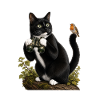 Chat ornithologue