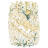 Sumpf Alligator
