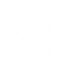 Minimalist cat