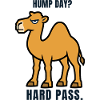 Hump Day Camel – Hard Pass