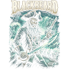 Blackbeard Pirate Storm