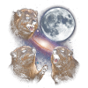 Trois roches hyrax