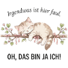 Katze Faul Lustiger Spruch