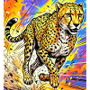guépard