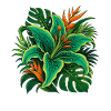 Feuillage tropical