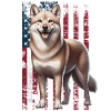 Dingo US Australian Wild Dog