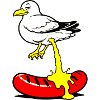 Bratwurst mit Senf, Vogel