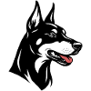 Dobermann Kopf seitlich