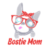 Boston Terrier