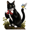 Chat ornithologue