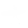 Silhouette Surfer on Surfboard