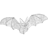 Bat night flight as an illustration