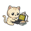 Développeur de chats codeurs mignons