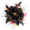 Black flower with gold accents
