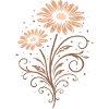 Daisies – Floral Summer Nature Motif