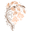 Weihnachtskaktus – Florales Naturmotiv