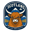 Highland cow in Scotland weather
