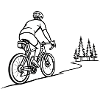 Forest ascent on cycle path