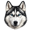 Vue géométrique Husky