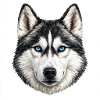 Geometric husky with blue eyes