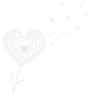 Dandelion Heart with Flying Seeds