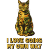I love going my own way