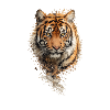 Fragment d’aquarelle de tigre