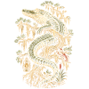 Sumpf Alligator