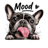 Mood funny french bulldog dog with