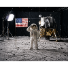 Moon Flag Portrait
