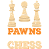 Échiquier des joueurs d’échecs