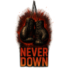 Never Down Boxenmotiv