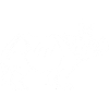 White rhinoceros design pattern