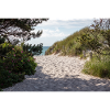 Weststrand Darß: Beach Entrance