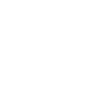Pangolin Sayings Pine Cone Gift