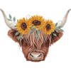 Sonnenblumenkrone Highland-Kuh