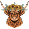 Sun Wreath Highland Cow